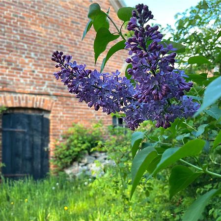 Alte Baeckerei Gnade Auf Ruegen Apartamento Sehlen Exterior foto